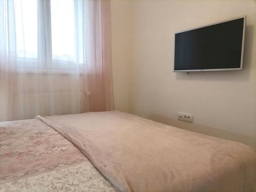 a bedroom with a bed with a flat screen tv on the wall at Lena in Banja Koviljača
