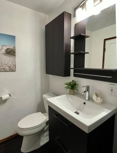 a bathroom with a white toilet and a sink at Panorama Ocean & Golf Fairway view in Bodega Bay