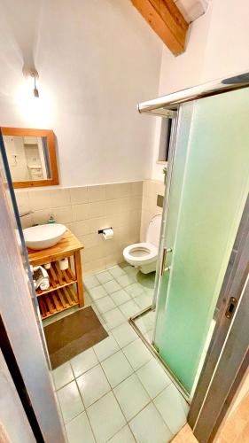 a bathroom with a toilet and a sink and a shower at Peace and quiet in Kammon