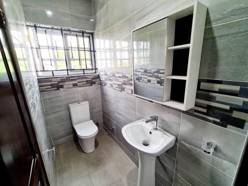 a bathroom with a toilet and a sink and a mirror at Spacious Quiet & Cozy- Close to Highway-Parking in Apenkwa