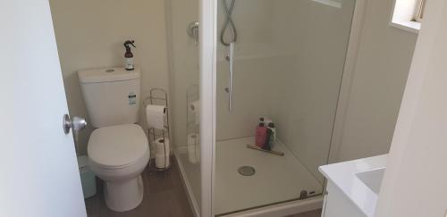 a small bathroom with a toilet and a shower at Incline Cottage in Upper Hutt