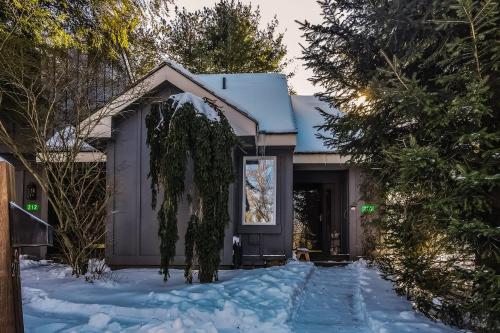 Snow Ridge Village 210 – Photos 3