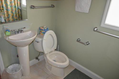 een badkamer met een toilet en een wastafel bij Green Gables Getaway in Lake Junaluska