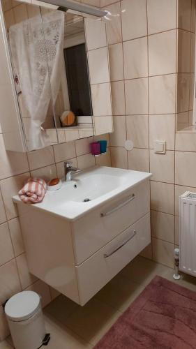 a bathroom with a sink and a mirror and a toilet at Ferienwohnung Seeberg mit Almfeeling in Faistenau