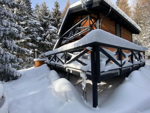 a snow covered cabin in the woods with trees at Chalet Račkova dolina in Pribylina