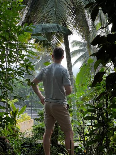 a man standing in the jungle looking at a palm tree at Summer Ridge - Homestay in Ratnapura