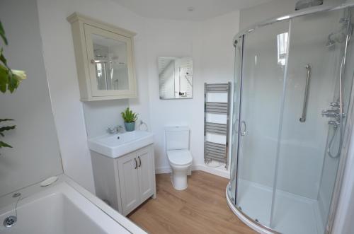 a bathroom with a shower and a toilet and a sink at Arch Cottage in Chagford