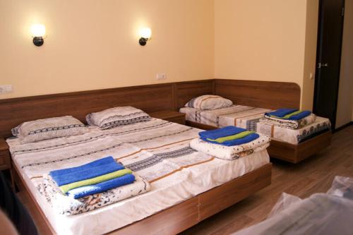 ナイズナエ・ツェメテにあるViktoriya Guest Houseのベッド3台(枕付)が備わる客室です。
