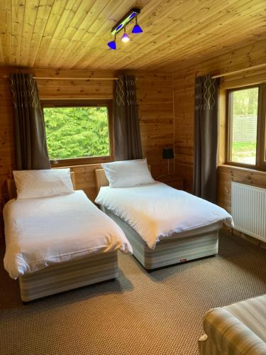 two beds in a room with wooden walls and windows at Fir Tree Lodge in Blairgowrie