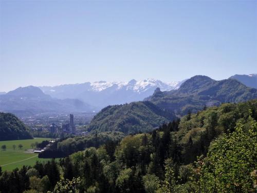 a view of a valley with snow capped mountains at Ferienwohnung Anna in Grödig