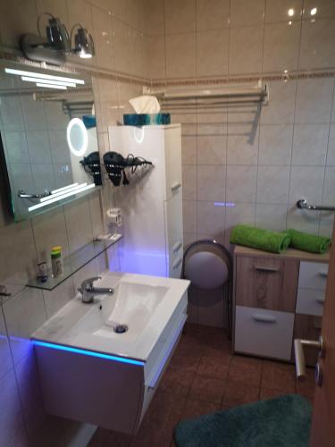 ein Badezimmer mit einem Waschbecken, einem Spiegel und einem WC in der Unterkunft Ferienwohnung Feldberger Seen in Feldberg