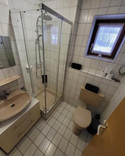 a bathroom with a shower and a toilet and a sink at Magic Apartment Arber in Zwiesel