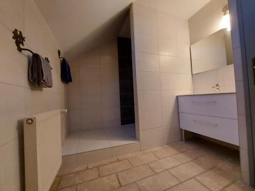 a bathroom with a walk in shower and a sink at Entre lac et montagne, chaleureuse maison 3 pièces avec très belle vue lac d'Annecy. Terrasse, jardin, parking, cheminée, barbecue …. in Saint-Jorioz