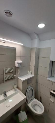 Ein Badezimmer in der Unterkunft Pensiunea Riunione