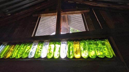 a group of glass bottles in front of a window at Backyard Hostel in Moshi