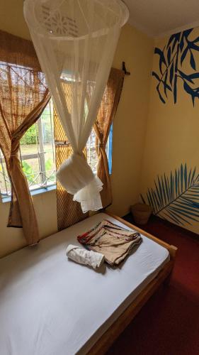 a bed in a room with a window at Backyard Hostel in Moshi