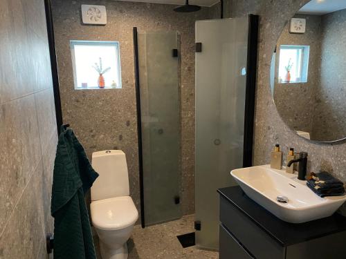 a bathroom with a toilet and a sink and a mirror at Attefallshus på Ängö i Kalmar in Kalmar