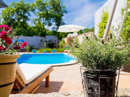 a vase filled with flowers next to a pool at Villa Kažun with private pool and two gardens in Marčana