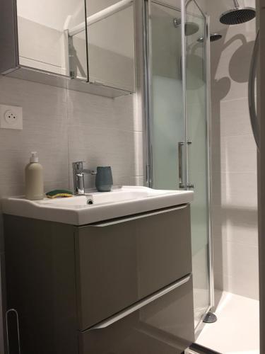 une salle de bain avec un lavabo et une douche dans l'établissement La Bulle, à Châlons-en-Champagne