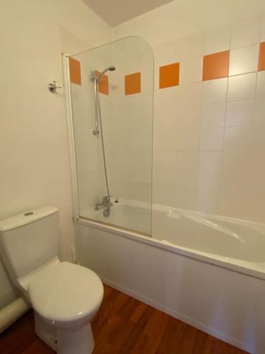 a white bathroom with a toilet and a shower at Vignec/Saint-Lary - T2 cosy avec balcon & piscine in Vignec