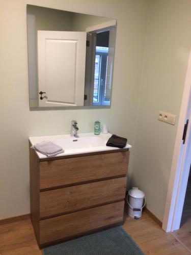 a bathroom with a sink and a mirror at Gezellig stadshuisje met patio. in Tongeren