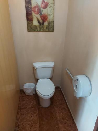 a bathroom with a toilet and a picture on the wall at Hotel Torre Fuerte in Venecia