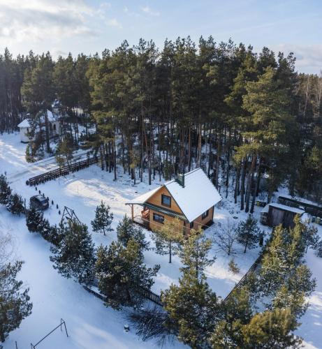 an aerial view of a log cabin in the snow at Leśna 21 Dom Południe przy PUSZCZA BIAŁOWIESKA in Łuka