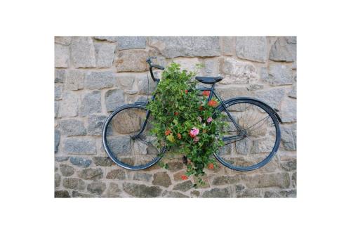 a bike with a plant attached to a stone wall at Apartmány U kapličky in Kamýk nad Vltavou