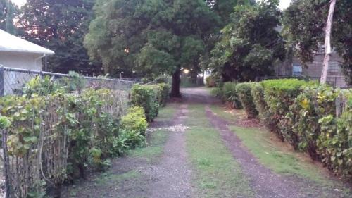 a garden with a fence and a dirt road at Shades Cottage Guesthouse in Blue Hole