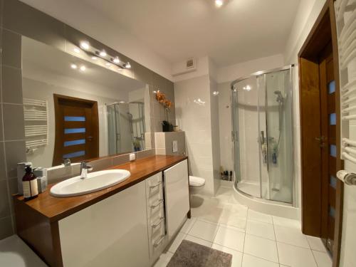 uma casa de banho com um lavatório, um chuveiro e um WC. em Ann Apartament Skandi em Gdansk