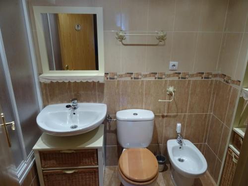 a bathroom with a toilet and a sink at Vista Collarada in Villanúa