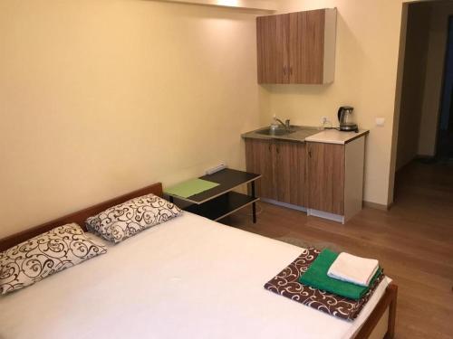 a small room with a bed and a kitchen at Harmony on Andrew descent in Kyiv