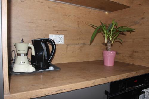 a coffee maker and a plant on a counter at Apartament Chopina in Łomianki