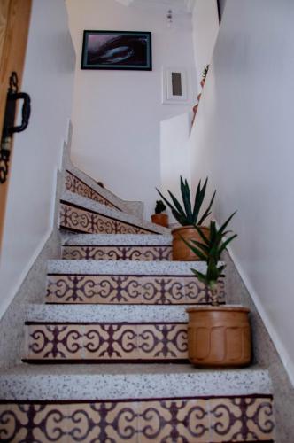 Gambar di galeri bagi Mouja Surf Camp di Taghazout