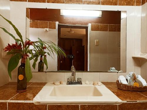 a sink in a bathroom with a mirror at Casa De Los Pájaros - B&B in Valladolid