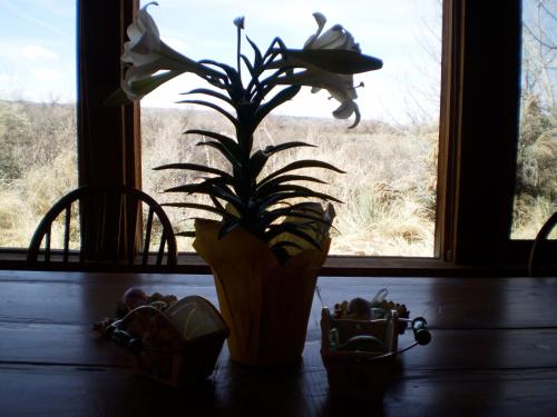 Silver River Adobe Inn Bed and Breakfast – Photos 5