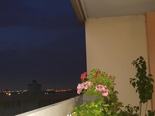 a view of the night from a balcony with pink flowers at Grand appartement proche de Paris in Chilly-Mazarin