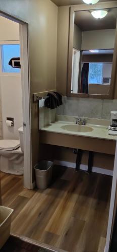 a bathroom with a sink and a mirror at Gold Pan Motel in Quesnel