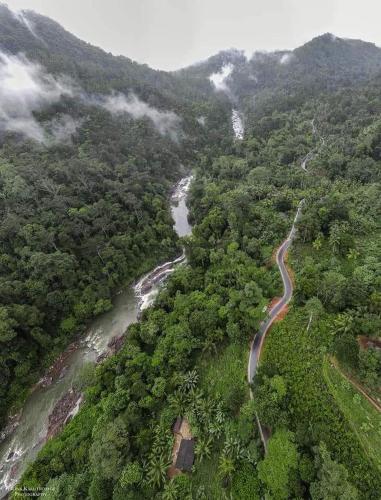 an aerial view of a river in a forest at Sinharaja Forest Gate in Deniyaya