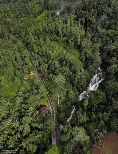 an aerial view of a road in the forest at Sinharaja Forest Gate in Deniyaya