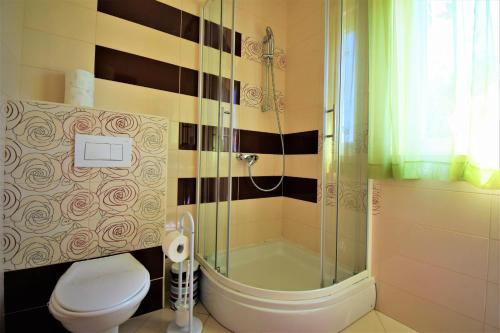 a bathroom with a toilet and a glass shower at Apartmani Bakran in Lopar