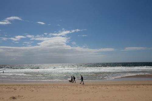 three people and a dog walking on the beach at Long Story Guest House in Plettenberg Bay