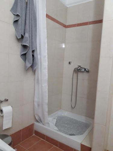 La salle de bains est pourvue d'une douche avec rideau de douche. dans l'établissement serres@home, à Serres