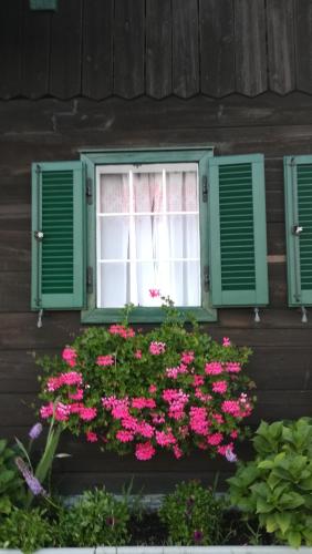 una ventana con flores rosas frente a una casa en Kellerstöckl Petra, en Eisenberg an der Pinka