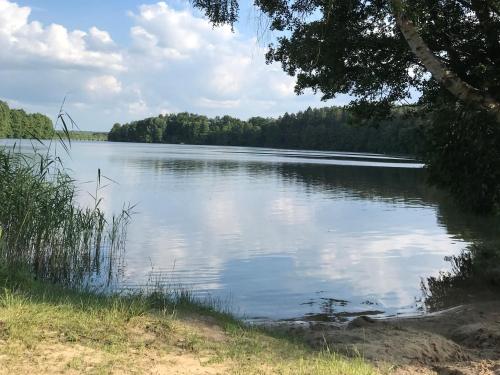 a large body of water with trees in the background at Forsthaus Zartwitzer Hütte in Rechlin