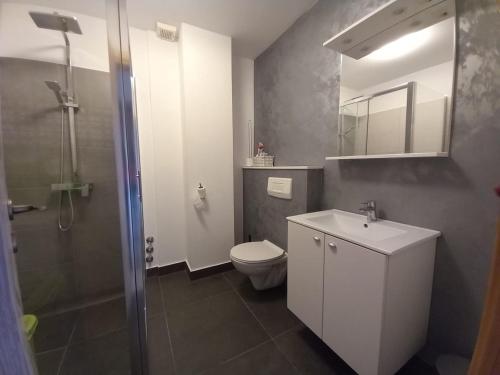 a bathroom with a toilet and a sink and a shower at AS Apartmani "Chocolate" in Peroj