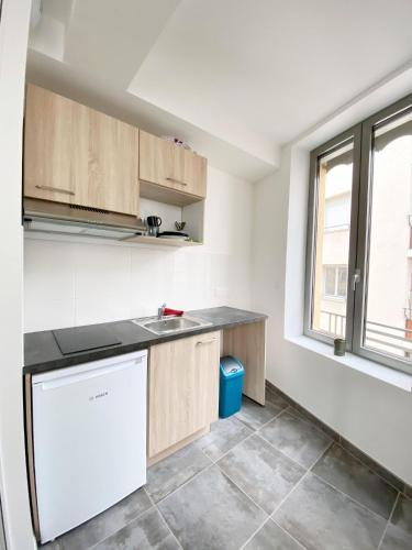 une cuisine avec un évier et un lave-vaisselle dans l'établissement Parc de la Tête d'Or - Parc de la Feyssine - Croix Luizet - La Doua - CNRS - INSA - Université Claude Bernard, à Villeurbanne