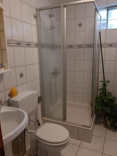 a bathroom with a shower and a toilet and a sink at Ferienwohnung Schacht in Longkamp