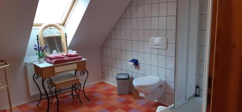 La salle de bains est pourvue de toilettes, d'un lavabo et d'un miroir. dans l'établissement Landgut Hoppstall, à Winterfeld