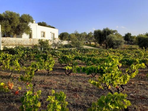 Casa dei Vigneti